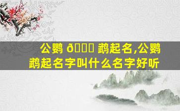公鹦 🐞 鹉起名,公鹦鹉起名字叫什么名字好听